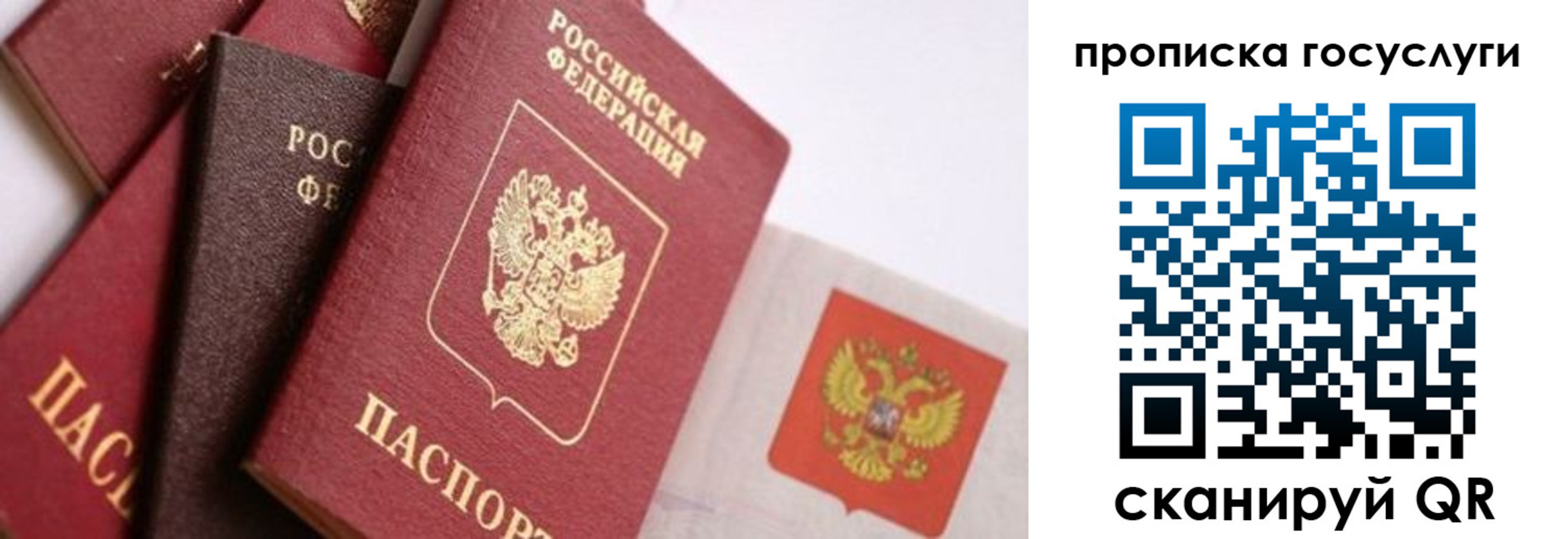 прописка законно в Шуе